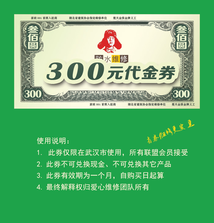 房屋问题：维修，翻新，补漏，安装，疏通，装修代金券